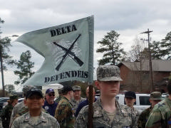 Delta Defenders